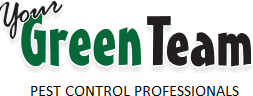 Your Green Team